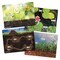 Kaplan Early Learning Company Realistic Animal and Plant Life Cycle Floor Puzzles - Set of 4